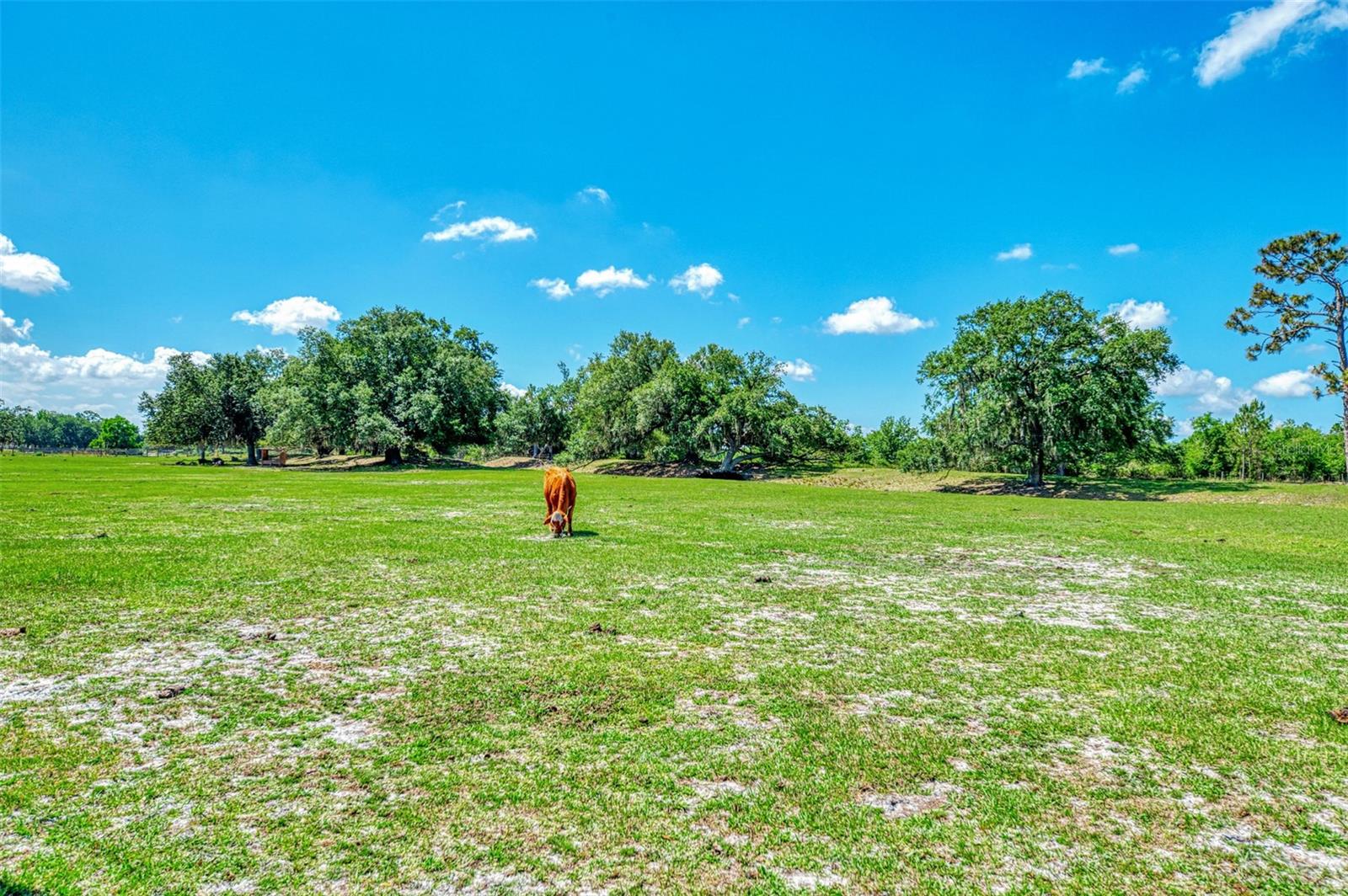 10433 SW JERNIGAN ST, ARCADIA, FL, 34269