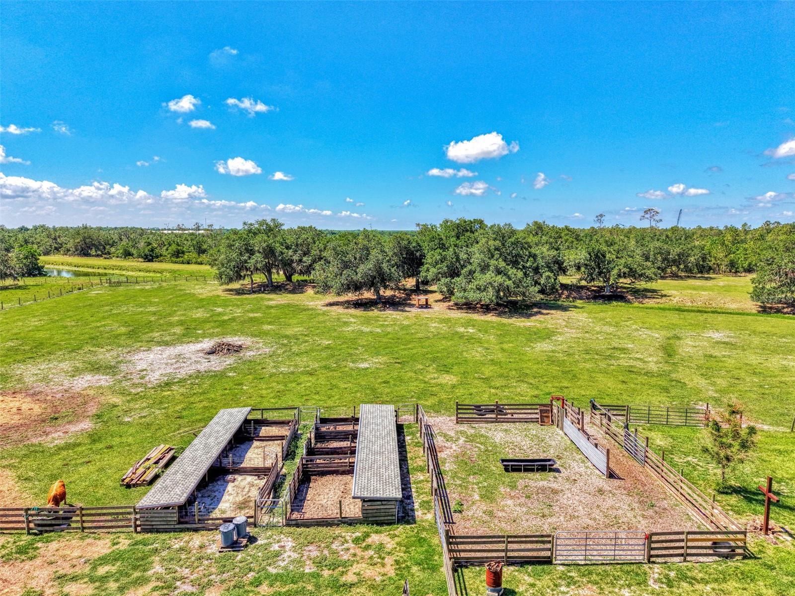 10433 SW JERNIGAN ST, ARCADIA, FL, 34269