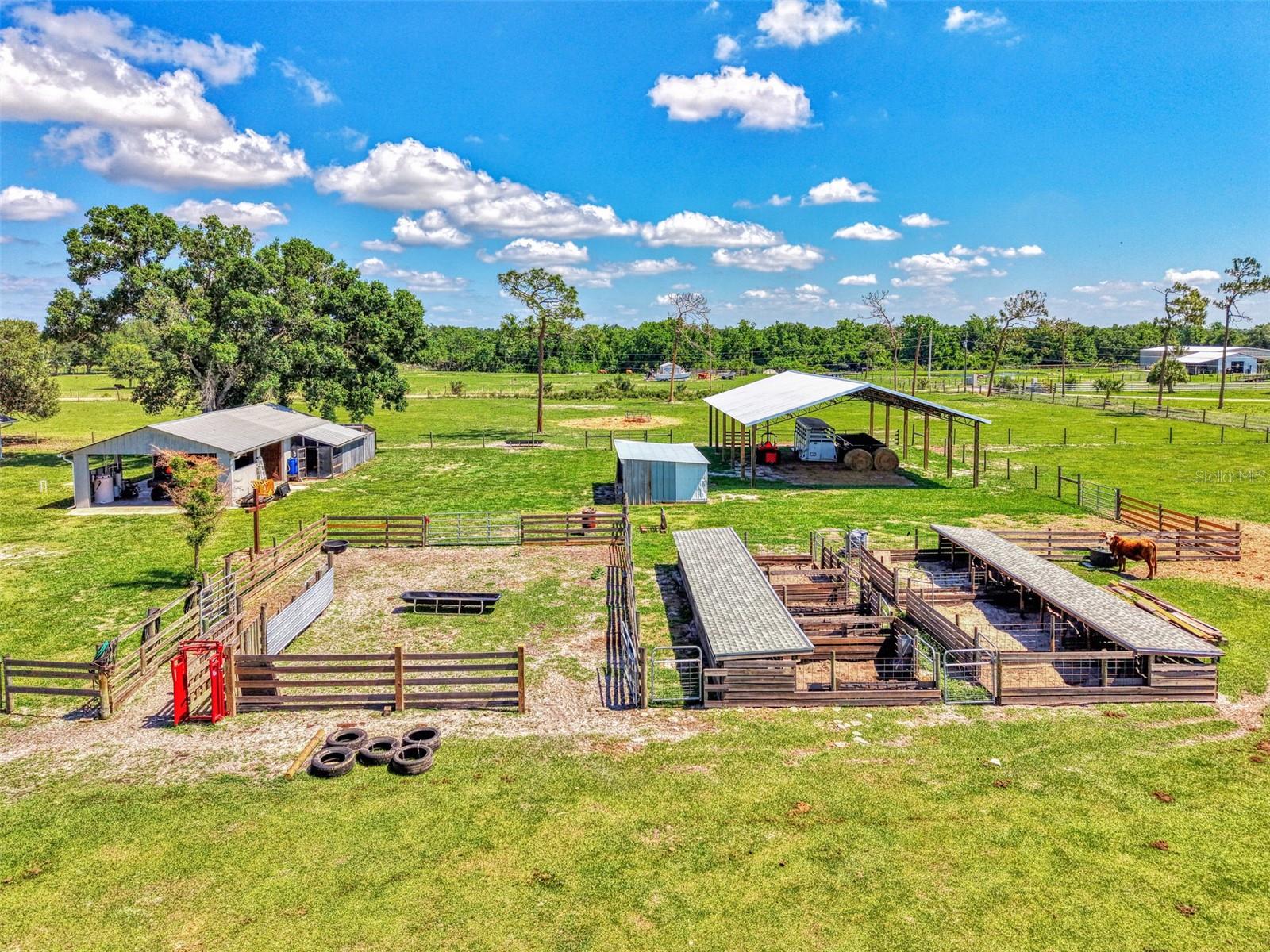 10433 SW JERNIGAN ST, ARCADIA, FL, 34269