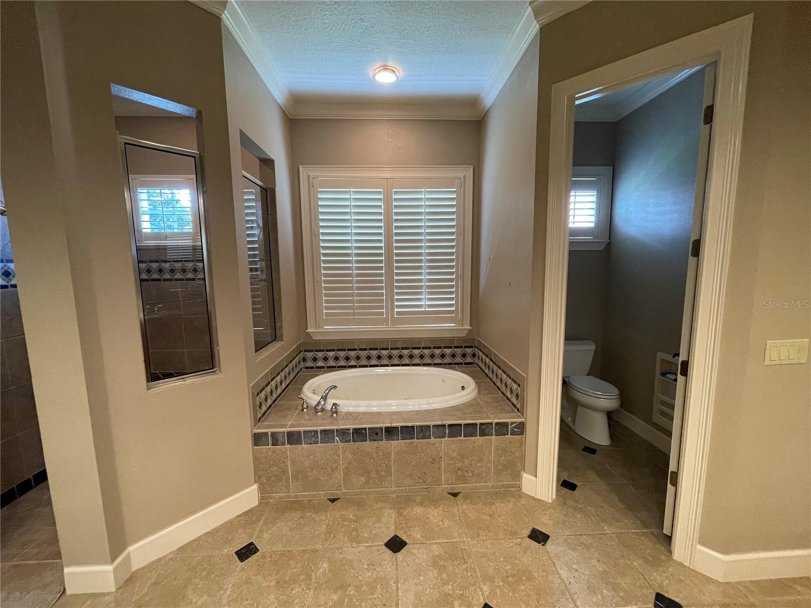 8122 WHITFORD CT, WINDERMERE, FL, 34786