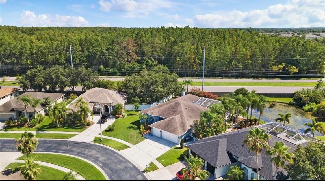 12910 VICKSBURG DR, TAMPA, FL, 33625