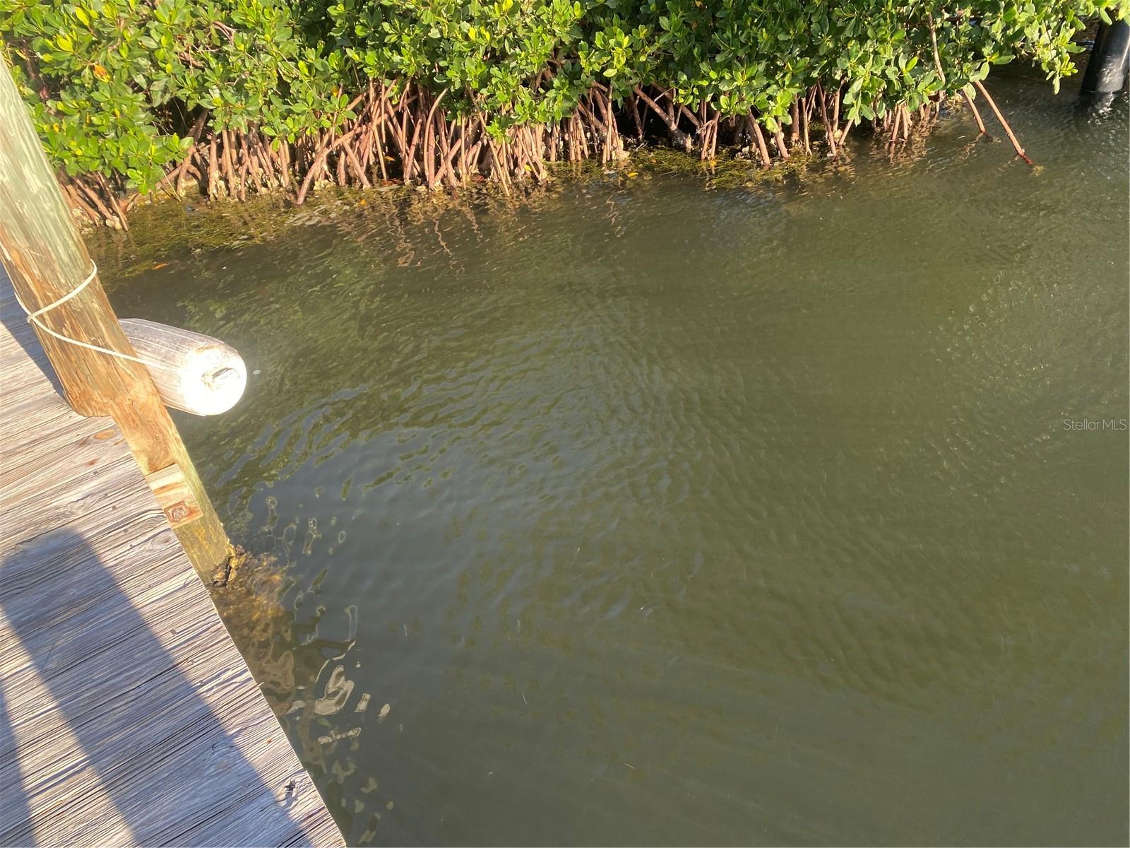 8303 MARINA DR #12, HOLMES BEACH, FL, 34217