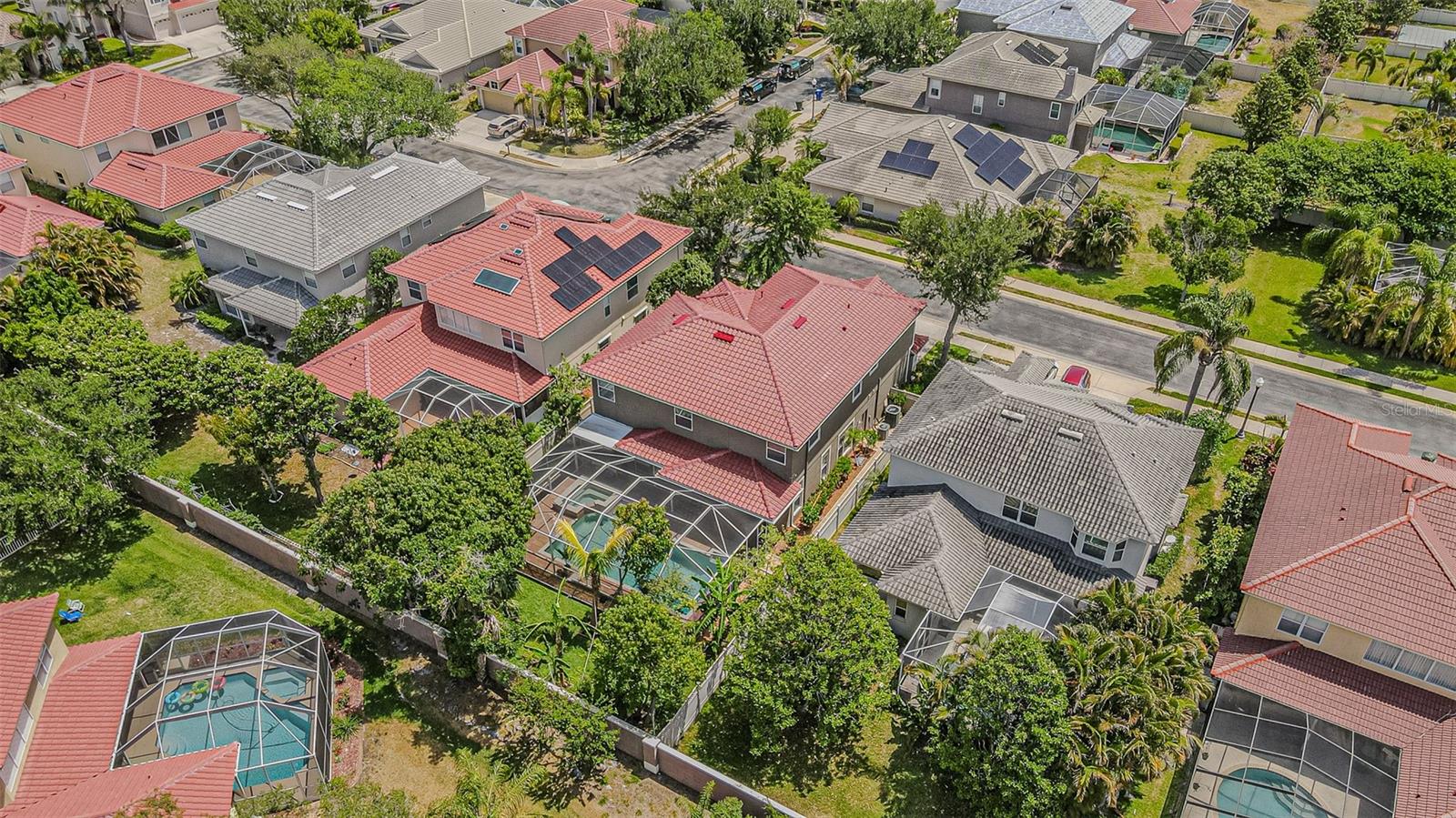 3356 ZACK DR, DUNEDIN, FL, 34698