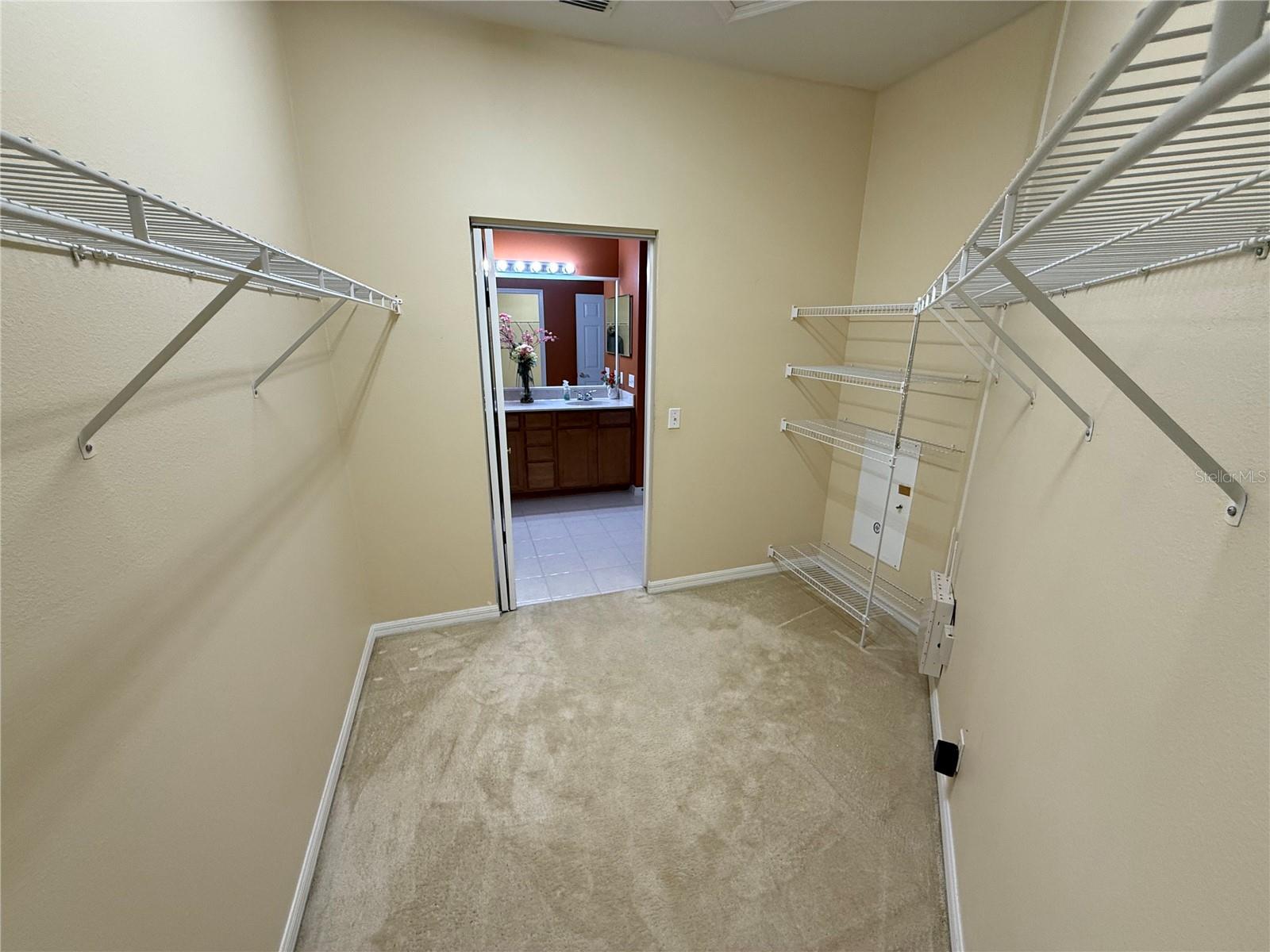 3356 ZACK DR, DUNEDIN, FL, 34698