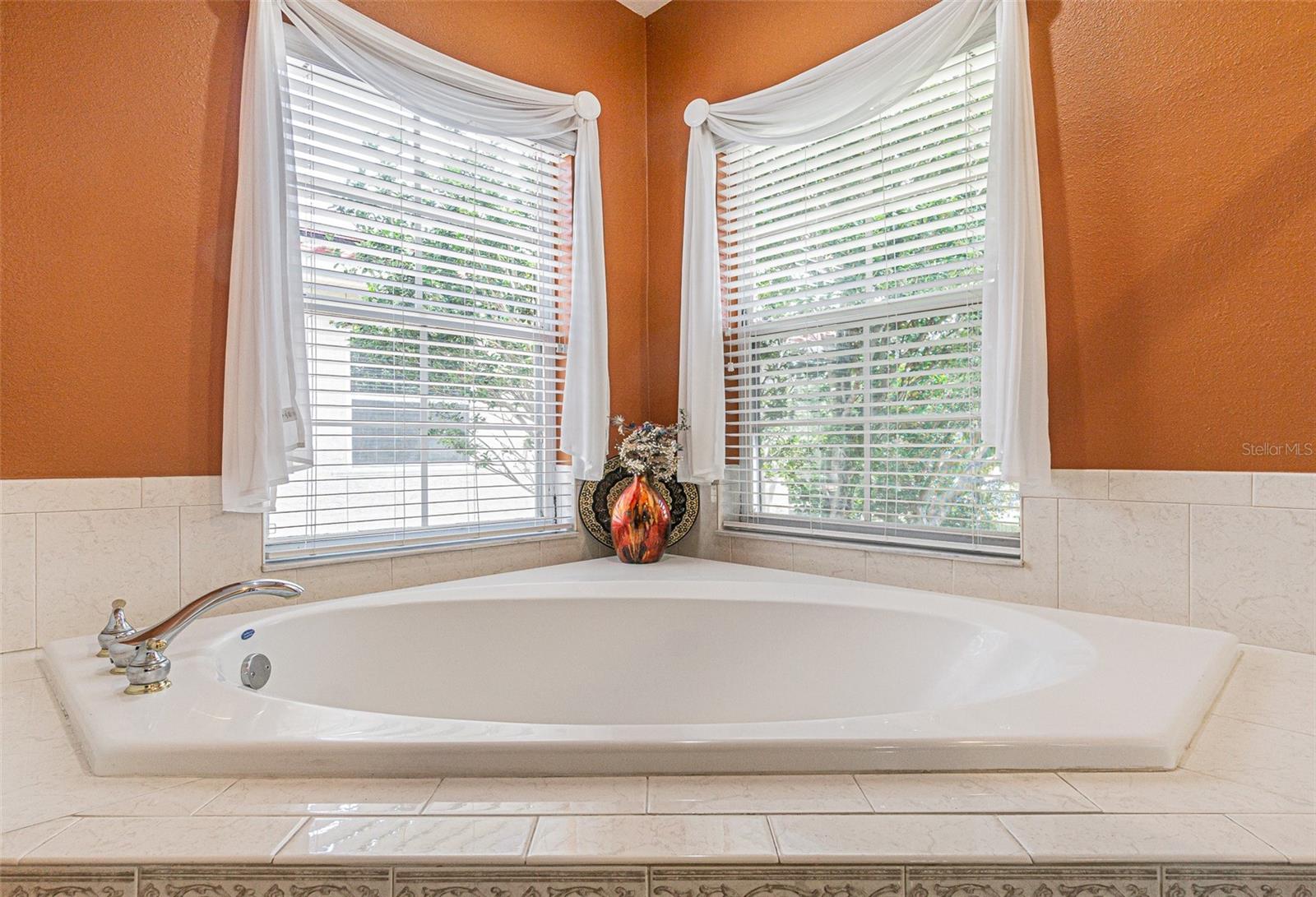 3356 ZACK DR, DUNEDIN, FL, 34698