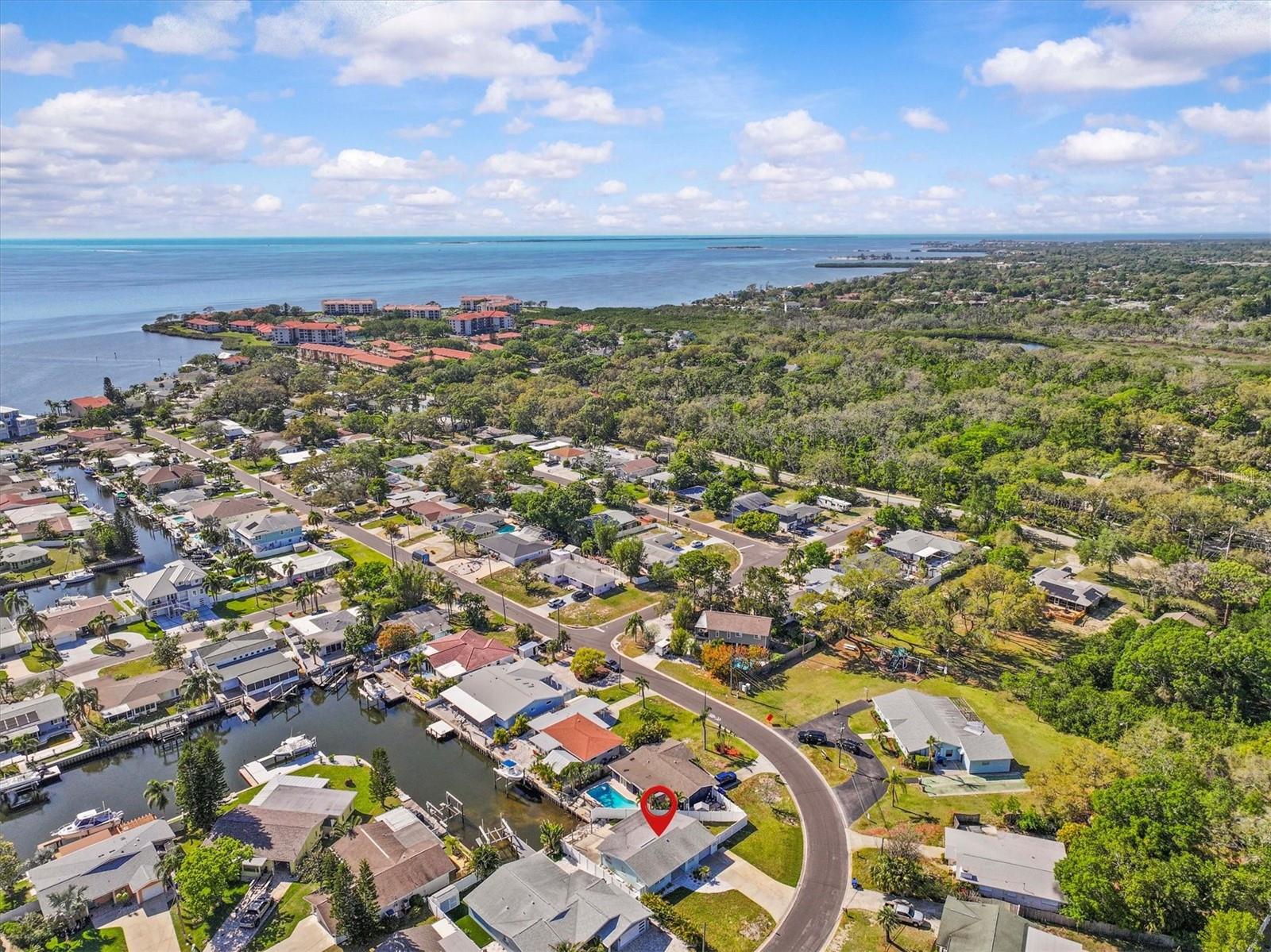 310 WESTWINDS DR, PALM HARBOR, FL, 34683