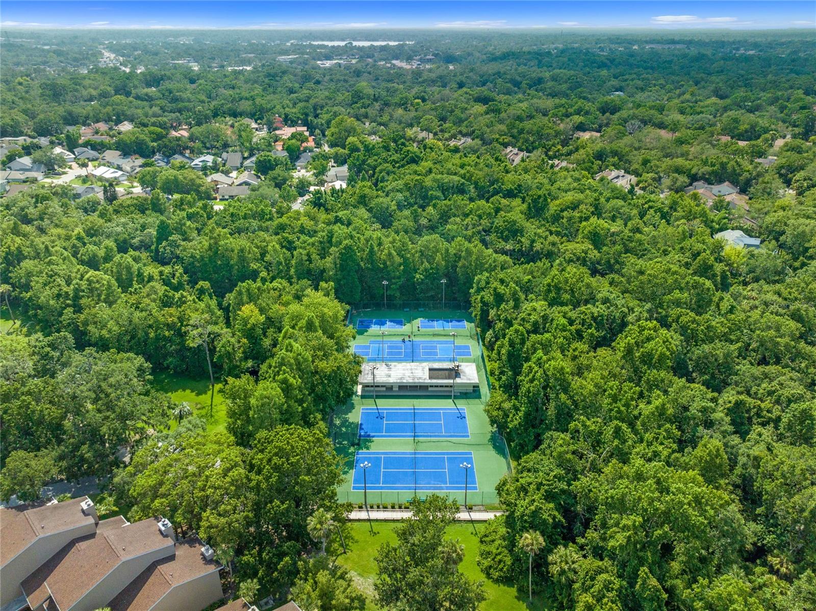136 WISTERIA DR, LONGWOOD, FL, 32779