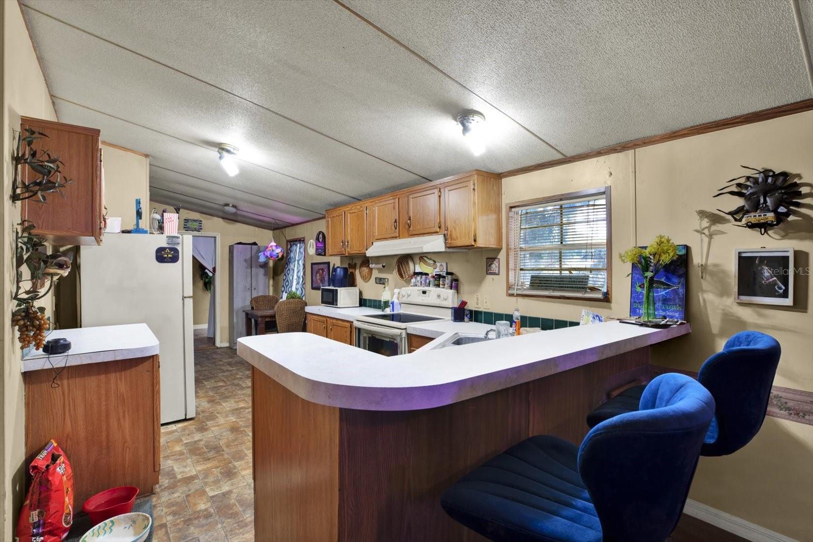 3642 KALMAN DR, ZEPHYRHILLS, FL, 33541