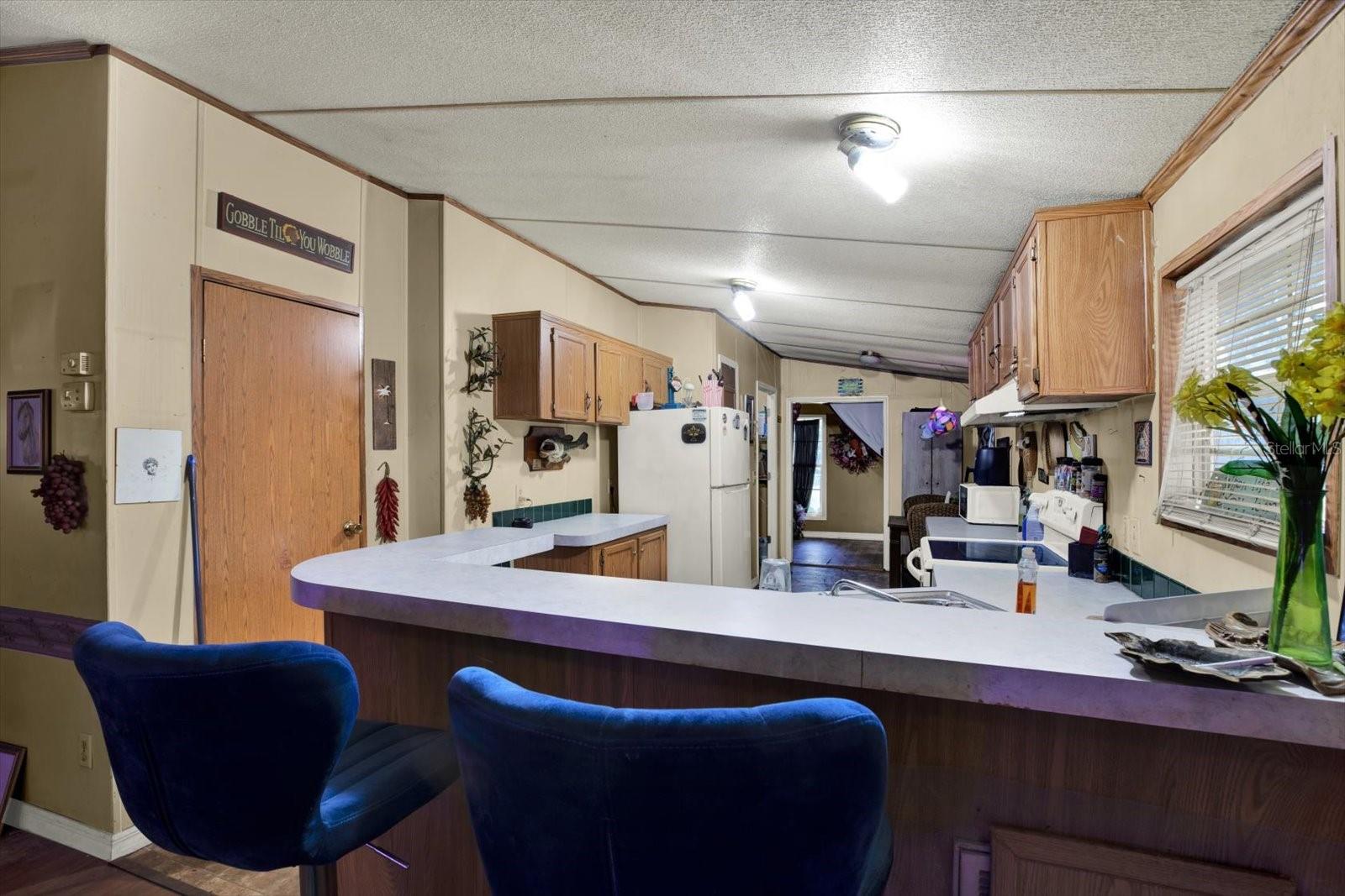 3642 KALMAN DR, ZEPHYRHILLS, FL, 33541