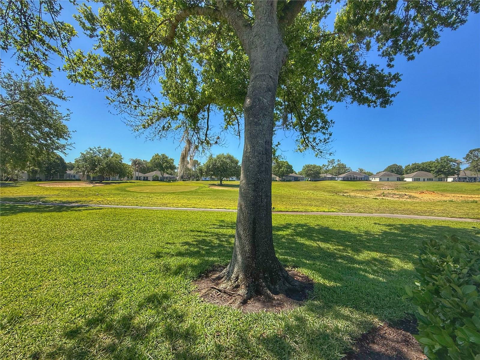 3445 CAPLAND AVE, CLERMONT, FL, 34711