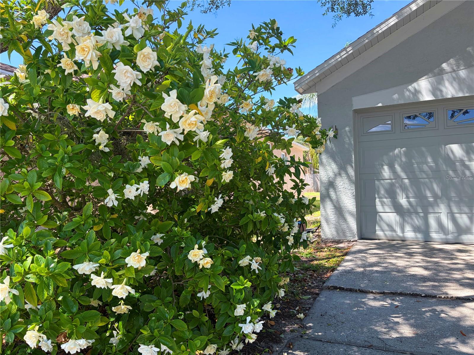 10327 GOLDENBROOK WAY, TAMPA, FL, 33647