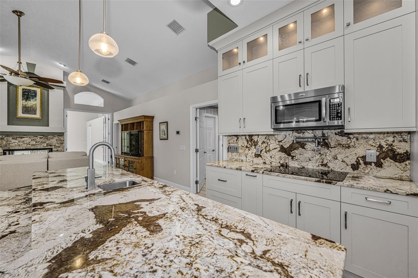 2013 WATER WHEEL CT, DUNEDIN, FL, 34698