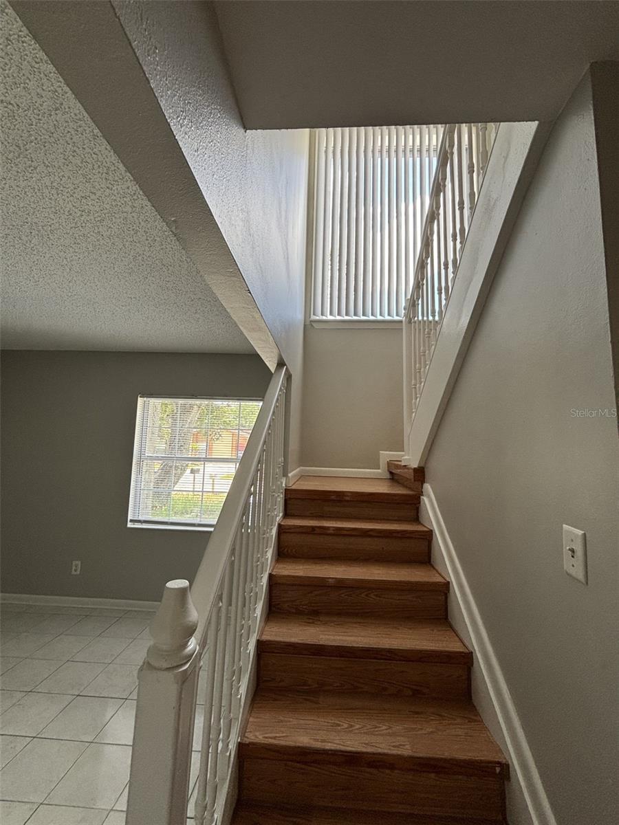 10307 PARKCREST DR, TAMPA, FL, 33624