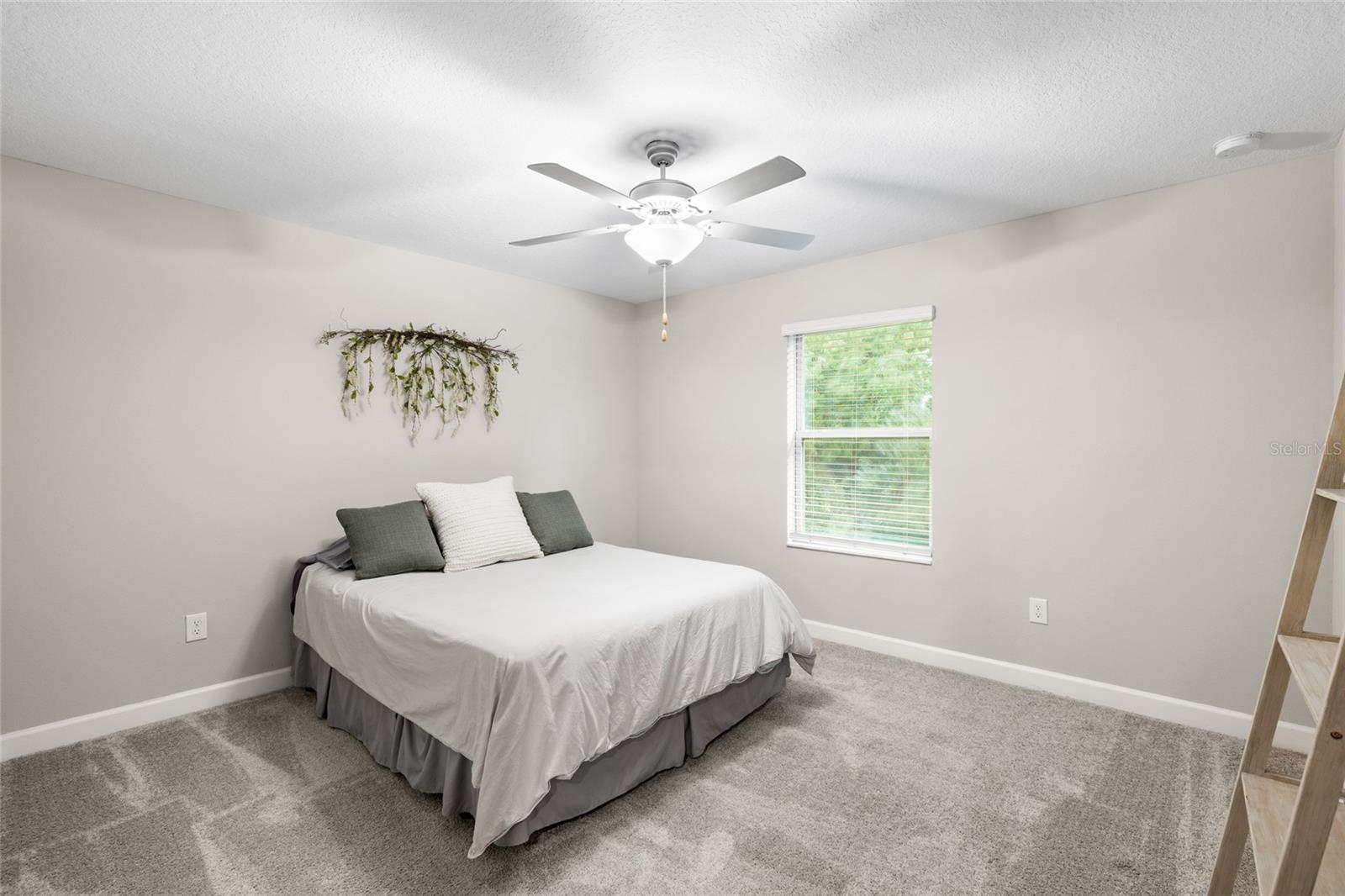 1646 ROSEVILLE ST, LUTZ, FL, 33549