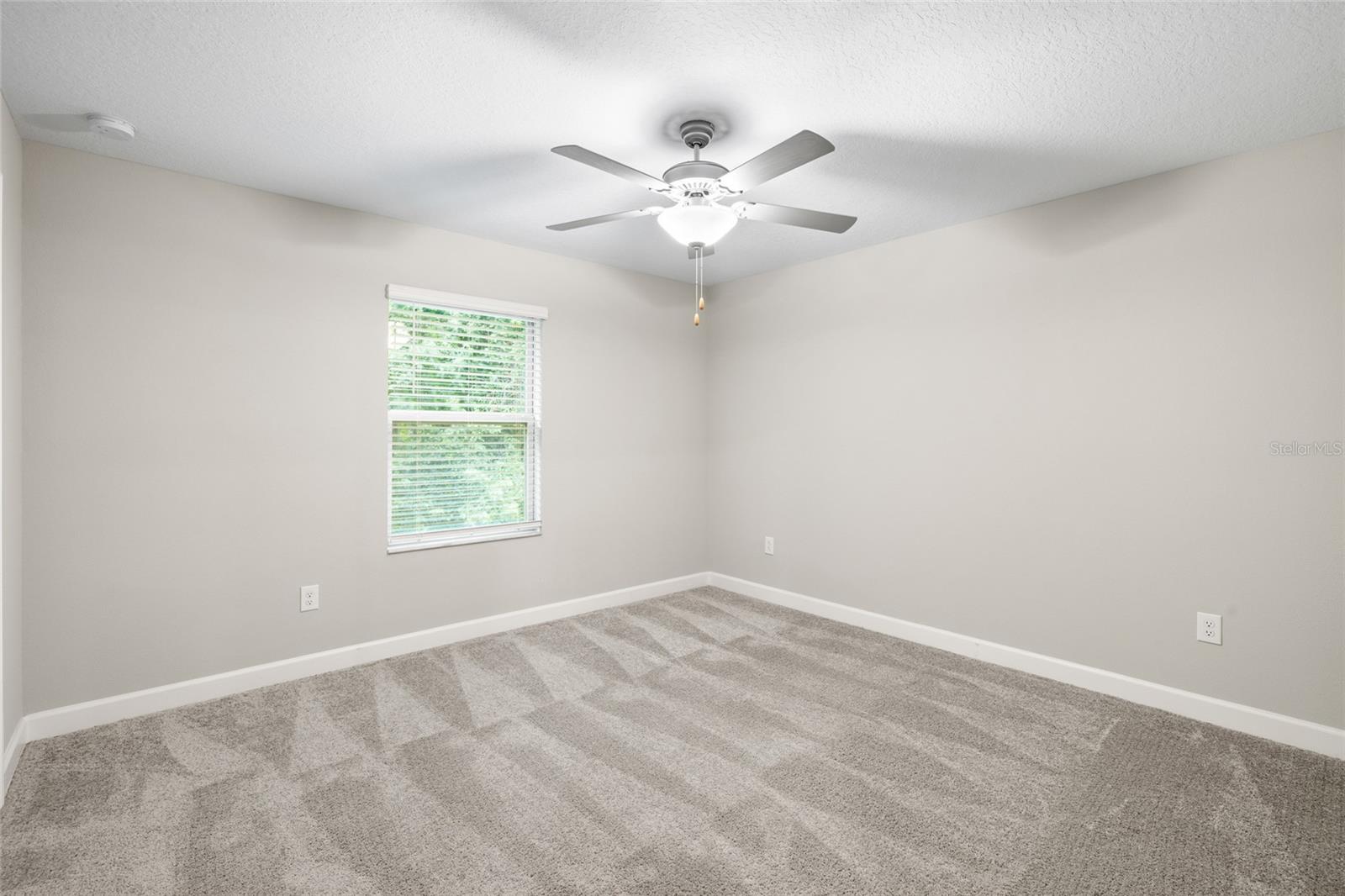1646 ROSEVILLE ST, LUTZ, FL, 33549