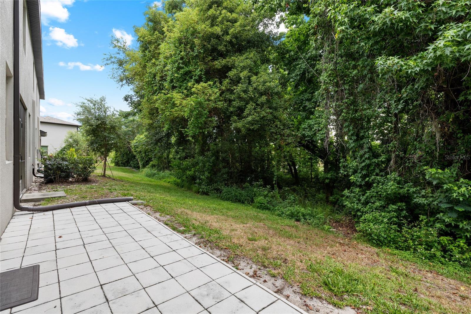 1646 ROSEVILLE ST, LUTZ, FL, 33549