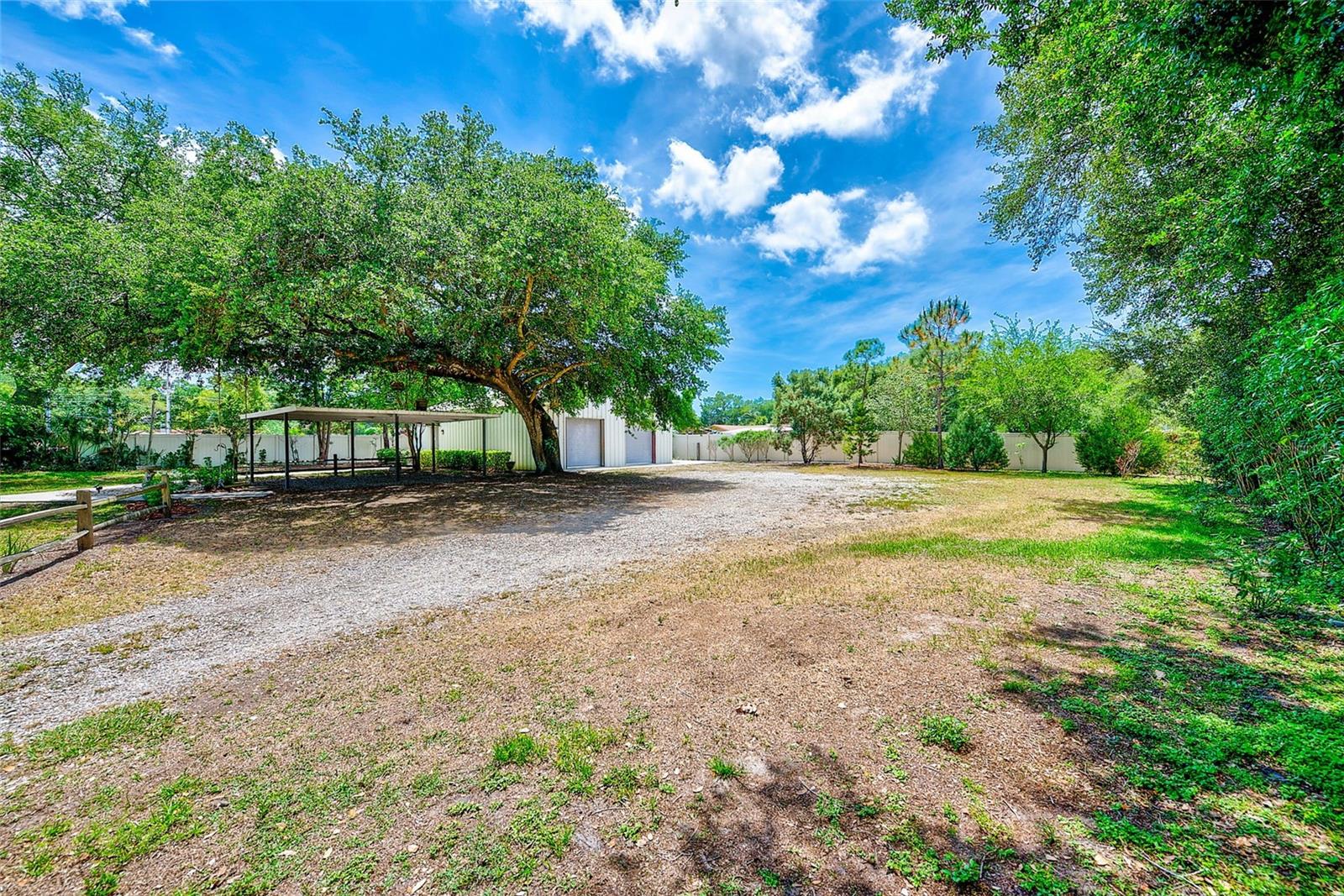 175 RIVIERE RD, PALM HARBOR, FL, 34683