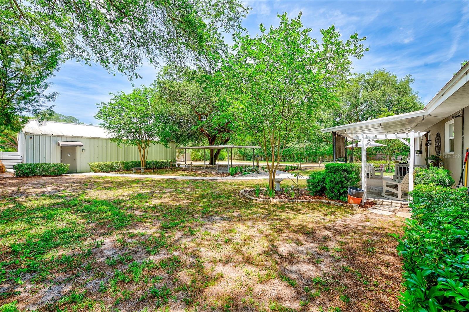 175 RIVIERE RD, PALM HARBOR, FL, 34683