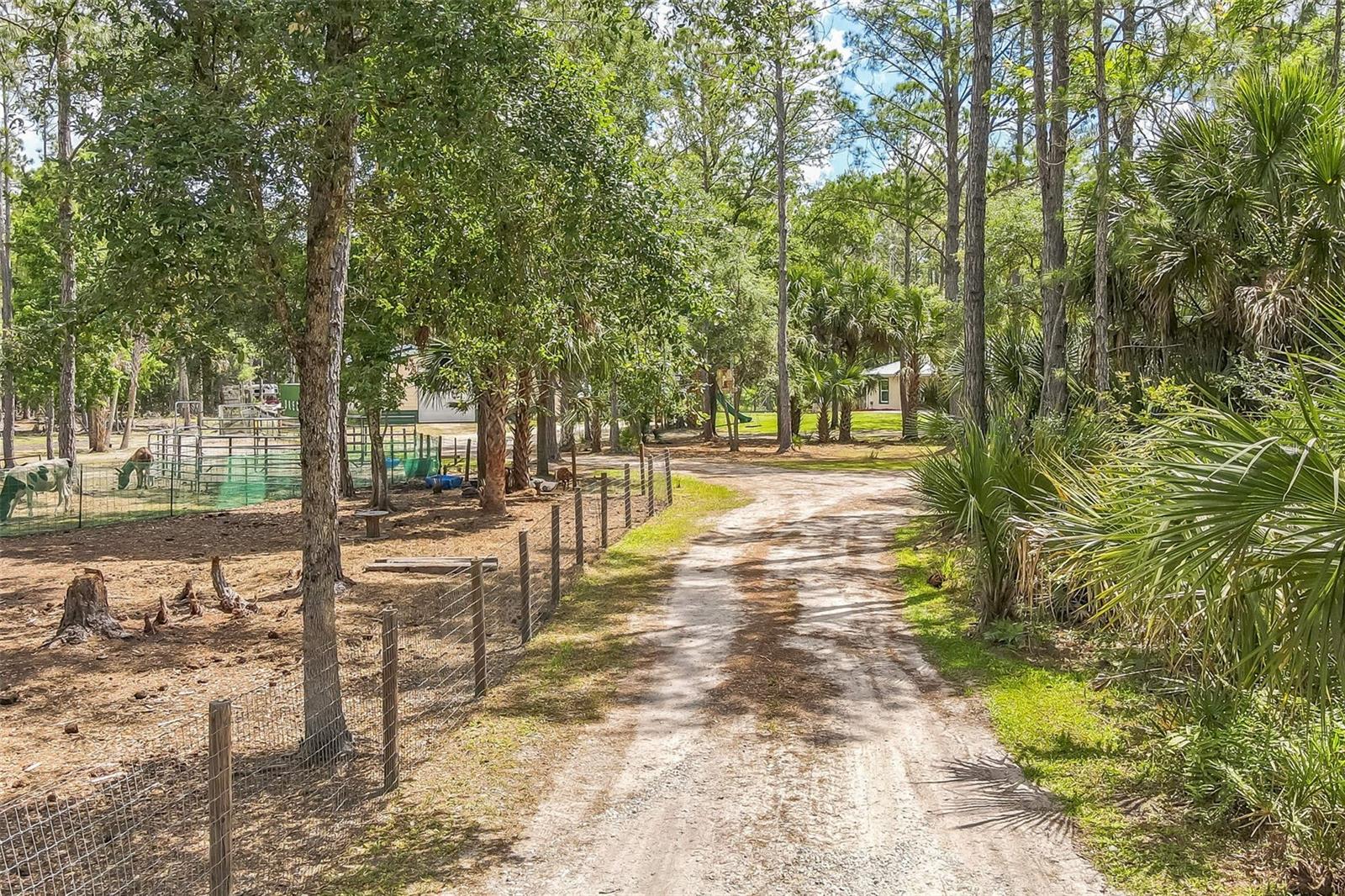 723 RIVER RUN RD, OSTEEN, FL, 32764