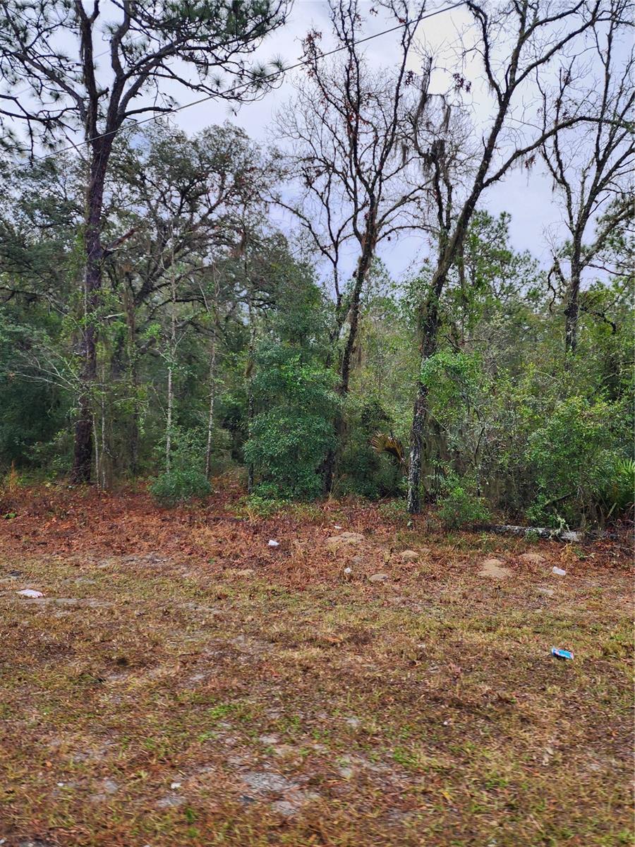 7360 W DUNNELLON RD, DUNNELLON, FL, 34433