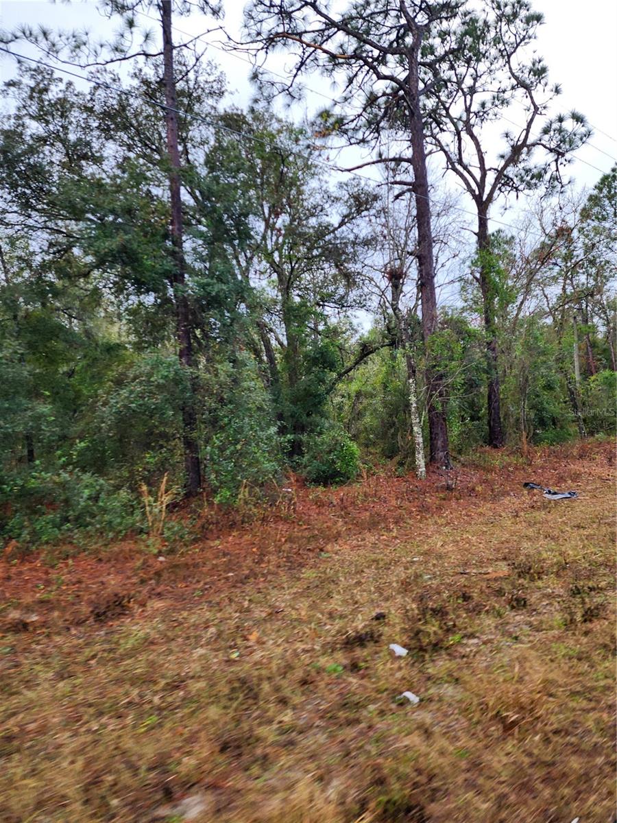 7360 W DUNNELLON RD, DUNNELLON, FL, 34433