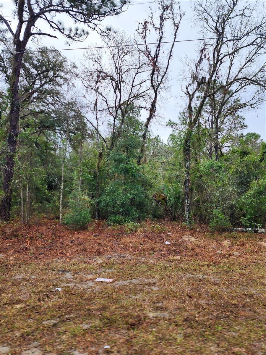 7360 W DUNNELLON RD, DUNNELLON, FL, 34433