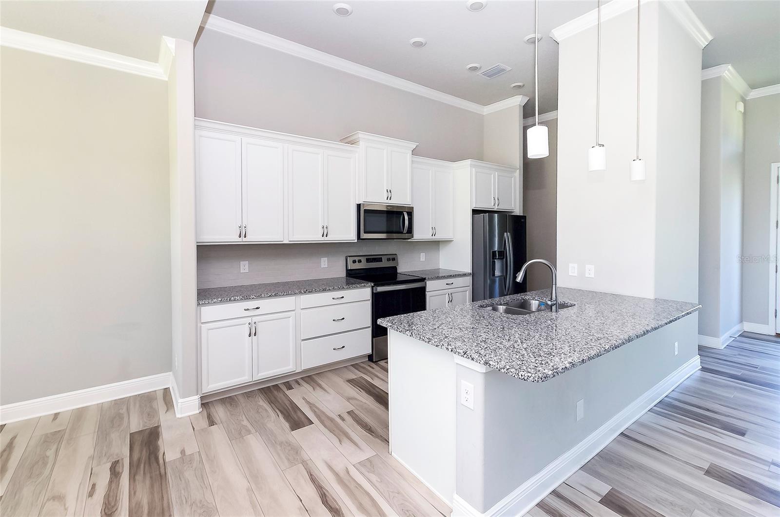 725 E CHARLESTON CT, HERNANDO, FL, 34442