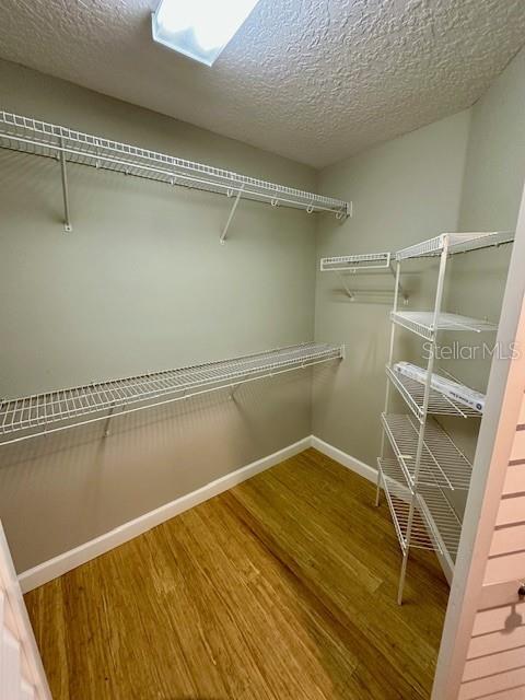 10274 COVE LAKE DR, ORLANDO, FL, 32836