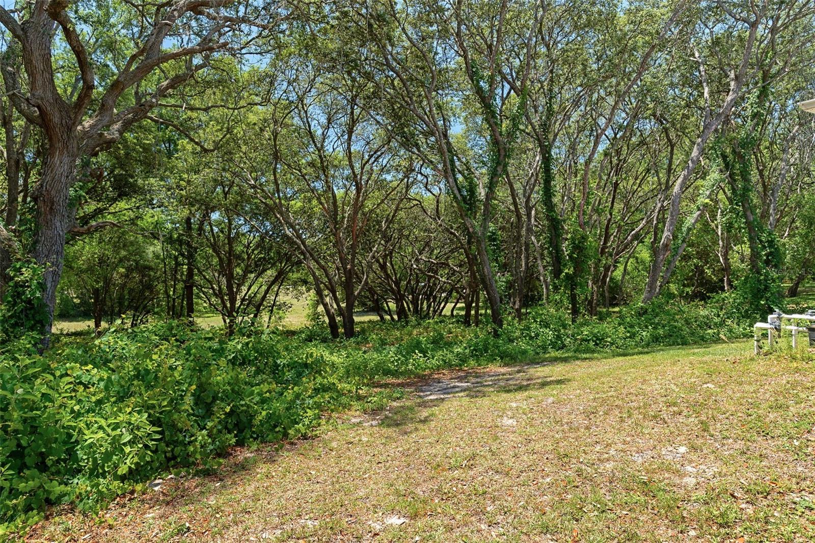 1540 E WEDGEWOOD LN, HERNANDO, FL, 34442