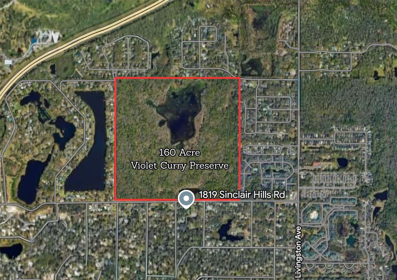 1819 SINCLAIR HILLS RD, LUTZ, FL, 33549