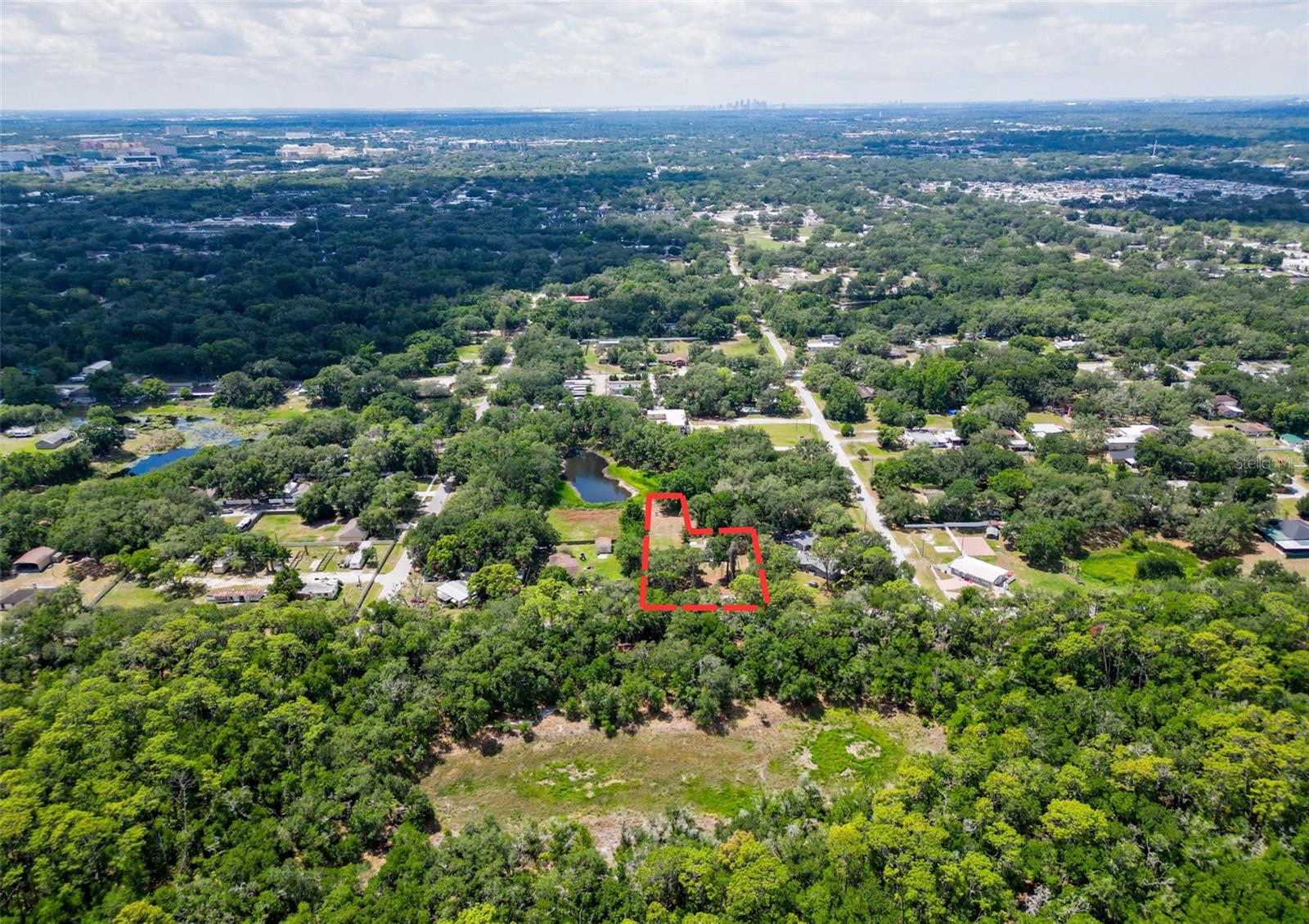 1819 SINCLAIR HILLS RD, LUTZ, FL, 33549