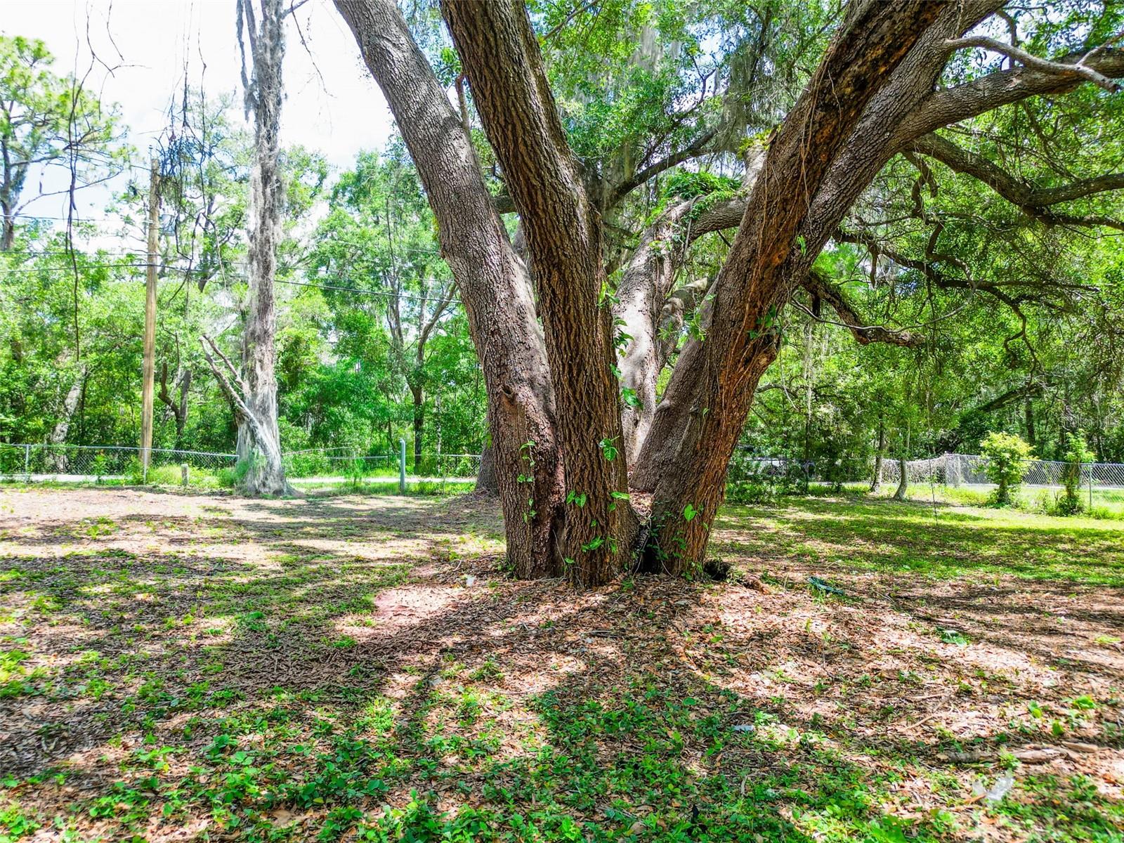 1819 SINCLAIR HILLS RD, LUTZ, FL, 33549