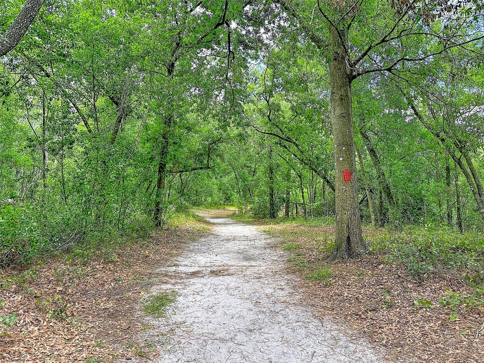 1819 SINCLAIR HILLS RD, LUTZ, FL, 33549