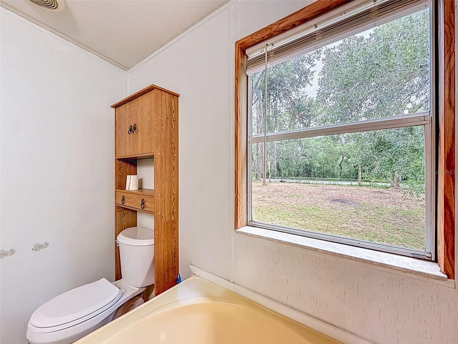 1819 SINCLAIR HILLS RD, LUTZ, FL, 33549