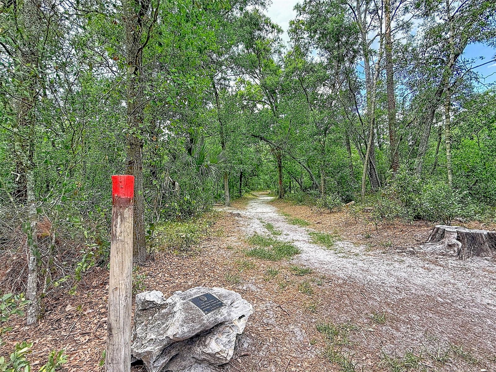 1819 SINCLAIR HILLS RD, LUTZ, FL, 33549
