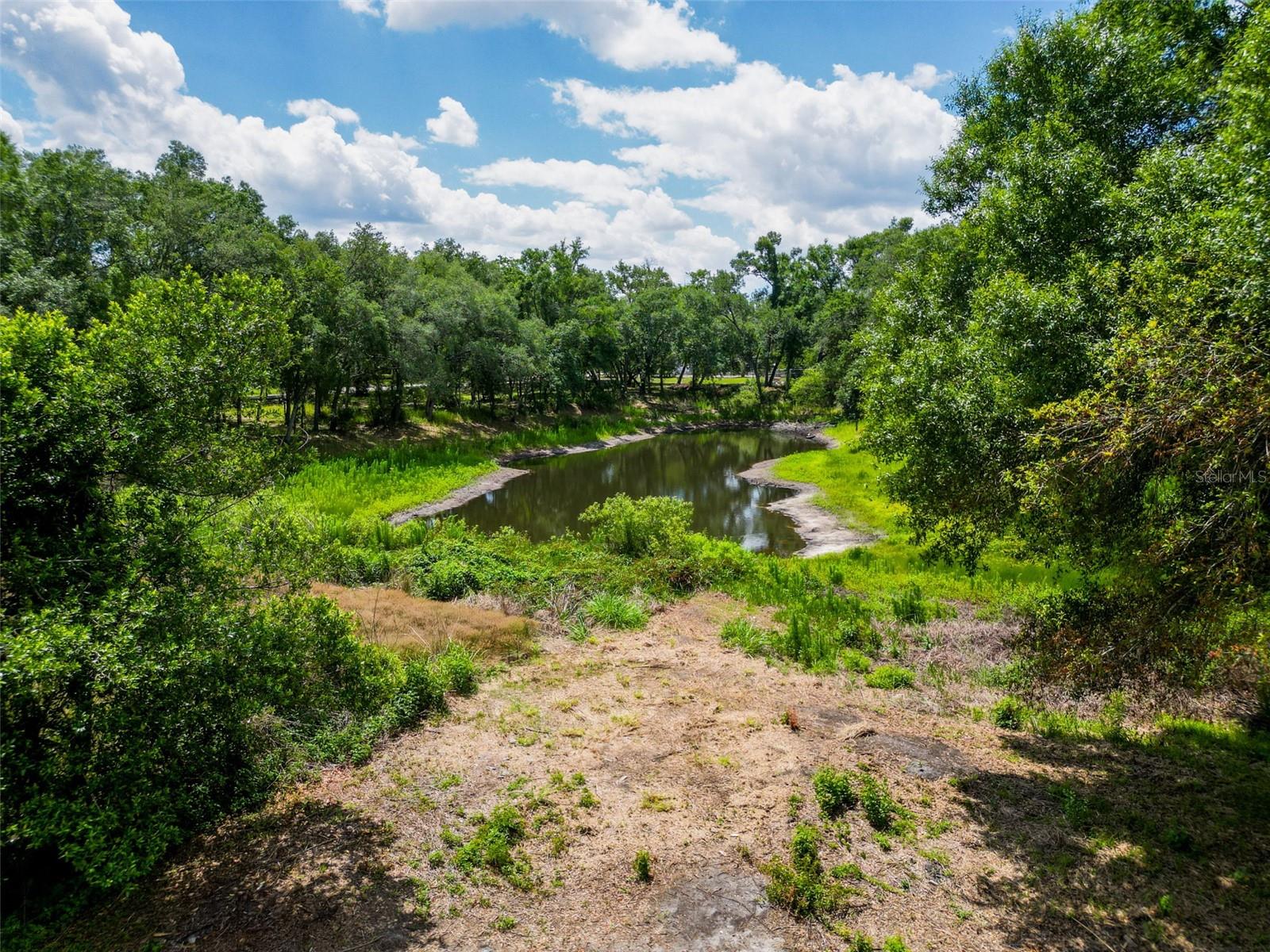 1819 SINCLAIR HILLS RD, LUTZ, FL, 33549
