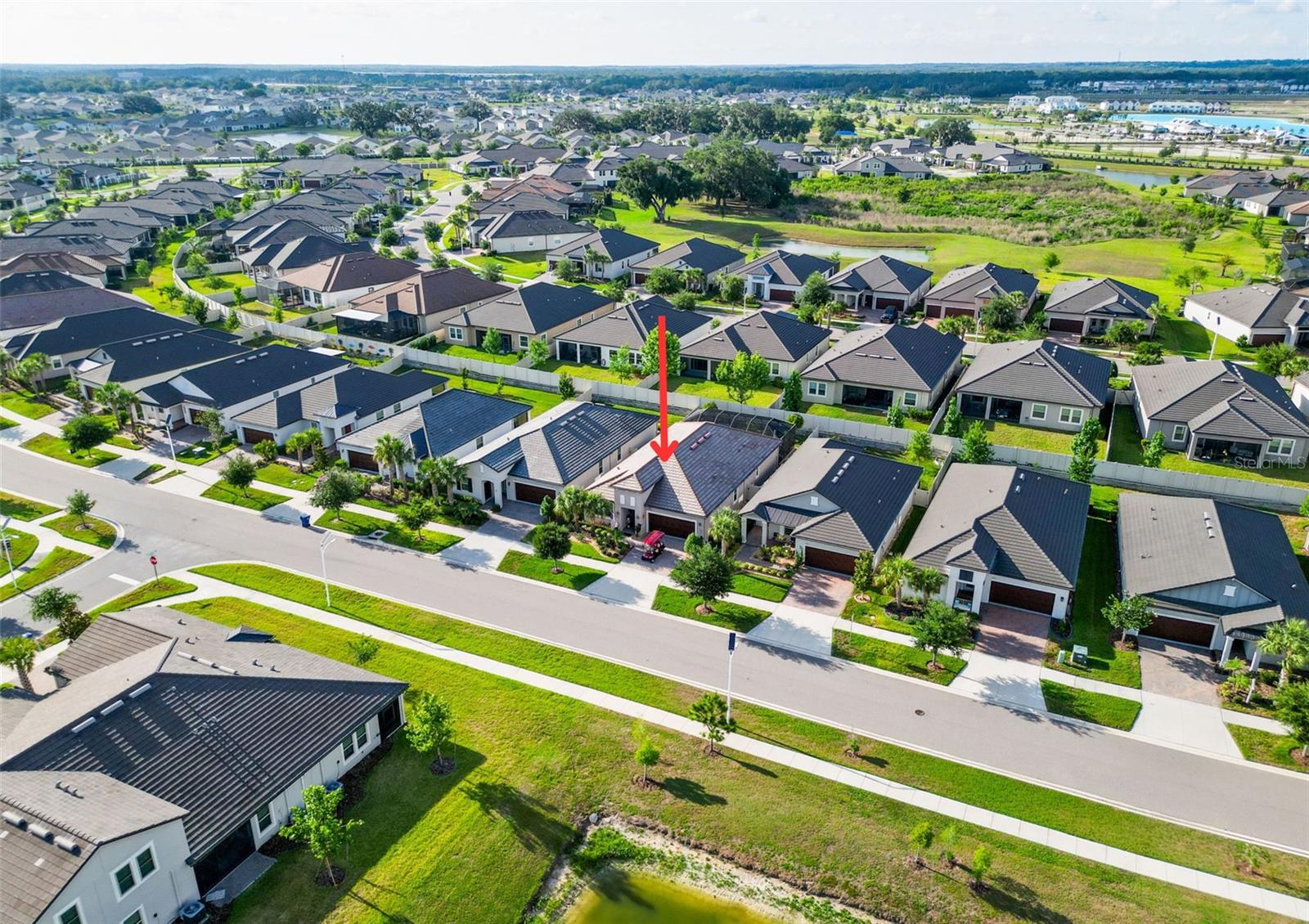 31527 CANNON RUSH DR, SAN ANTONIO, FL, 33576