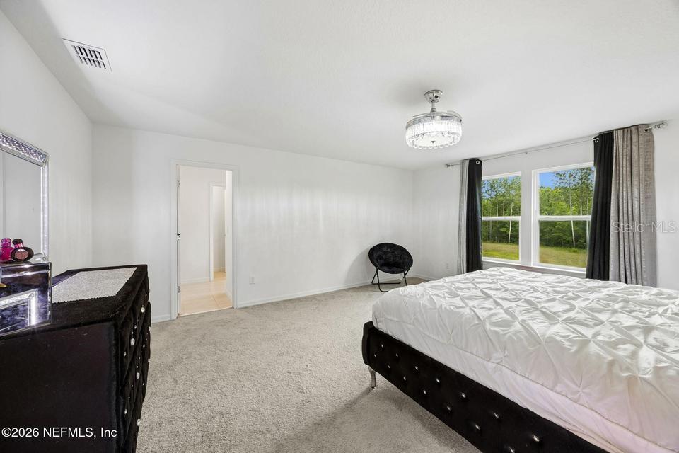 978 ROOSTER HOLLOW WAY, MIDDLEBURG, FL, 32068