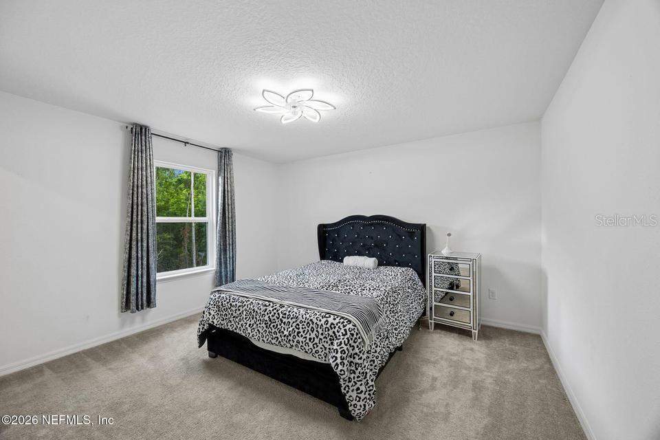 978 ROOSTER HOLLOW WAY, MIDDLEBURG, FL, 32068
