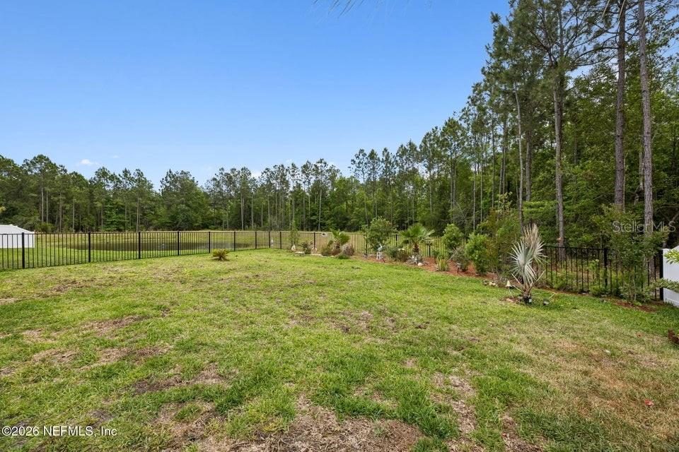 978 ROOSTER HOLLOW WAY, MIDDLEBURG, FL, 32068
