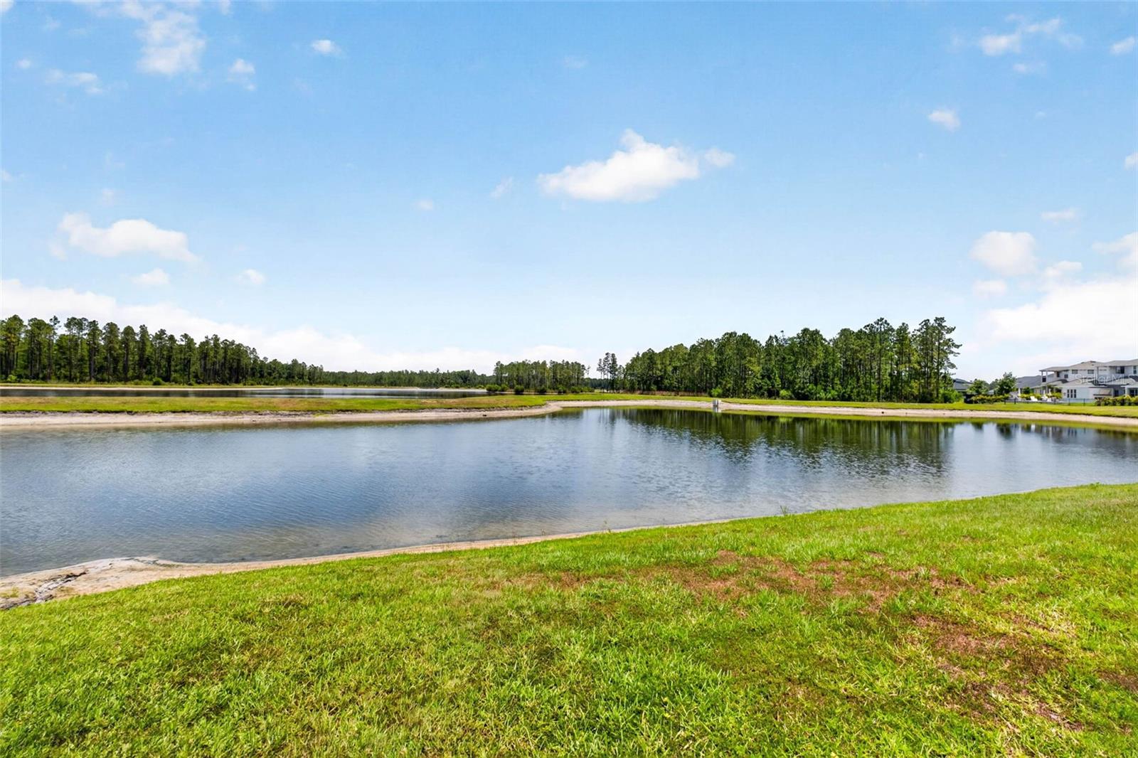 16181 NOVEMBER RAIN CT, LAND O LAKES, FL, 34638