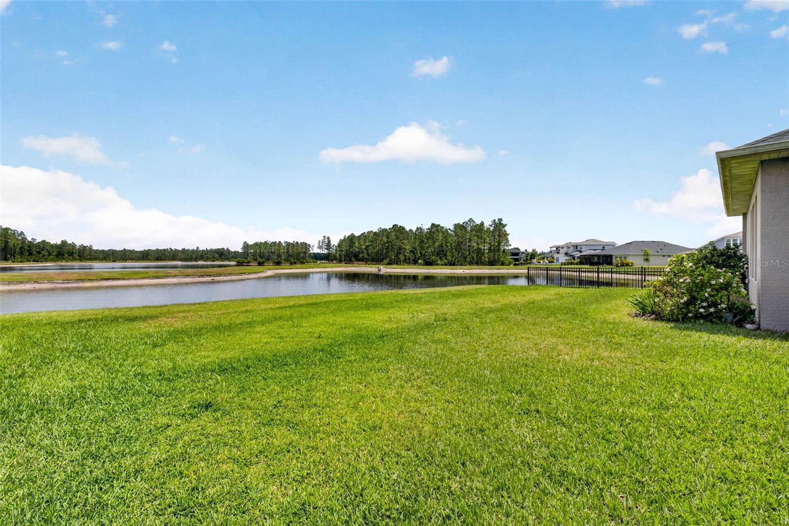 16181 NOVEMBER RAIN CT, LAND O LAKES, FL, 34638