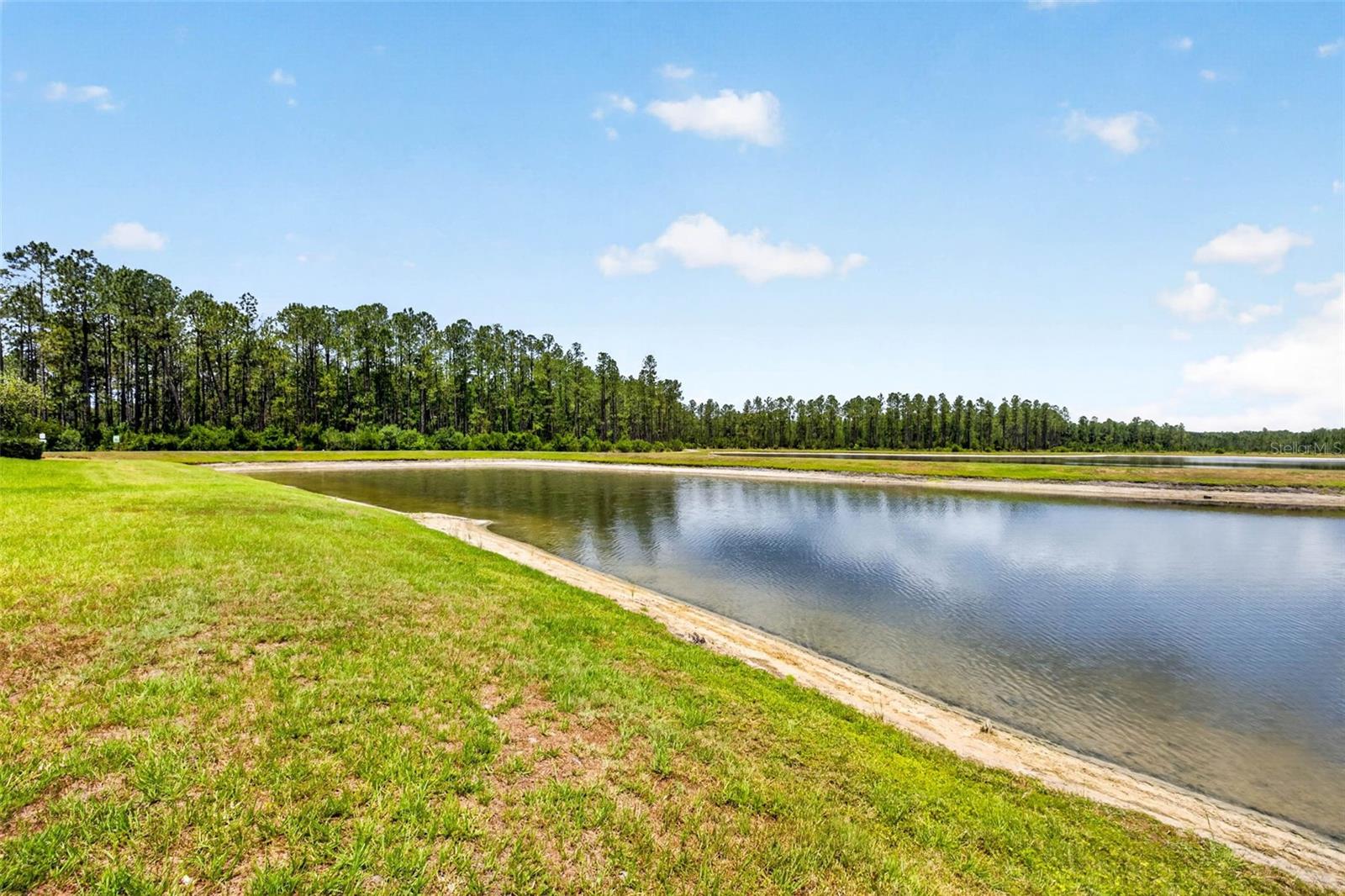 16181 NOVEMBER RAIN CT, LAND O LAKES, FL, 34638