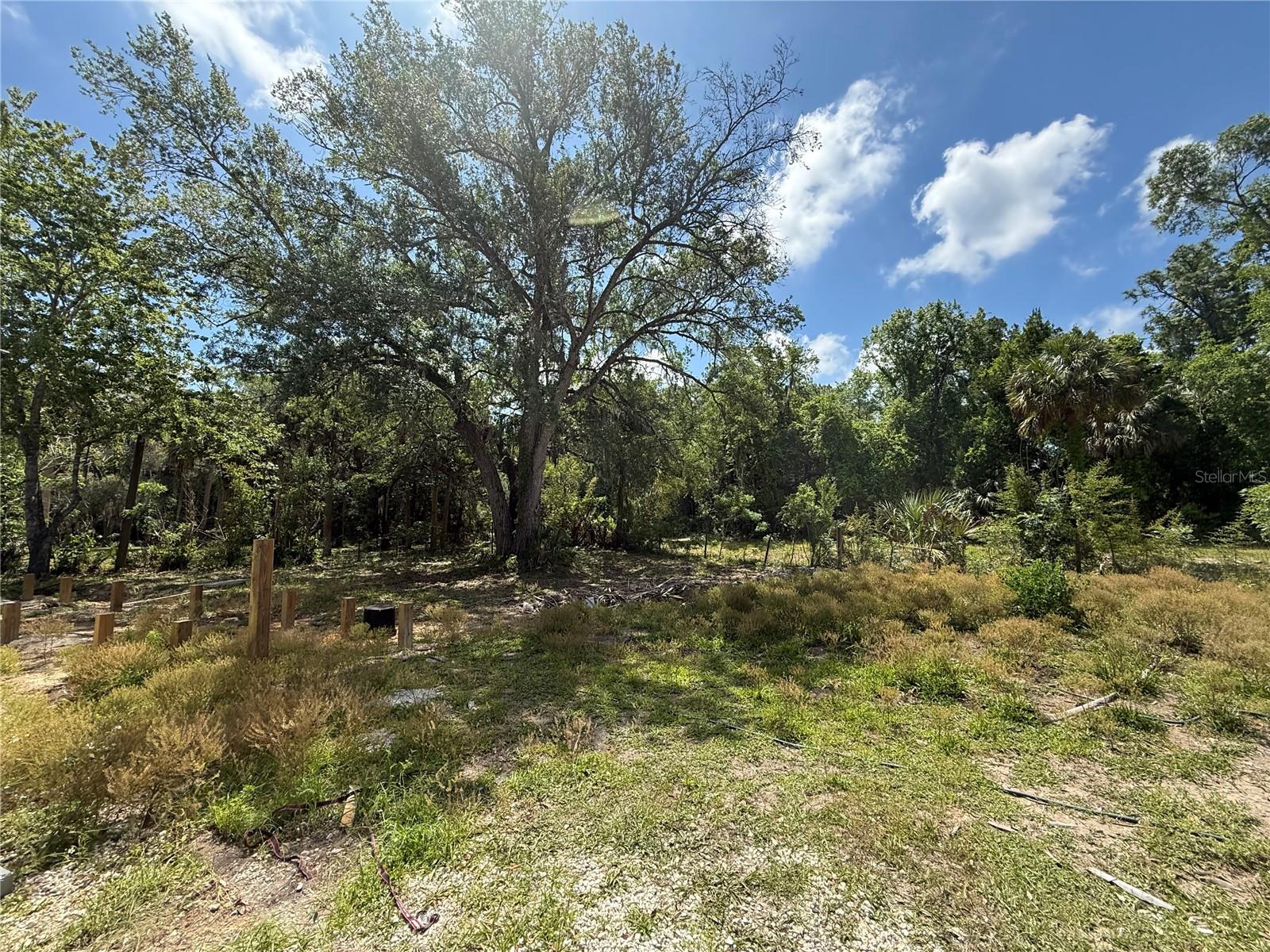 186 GLADYS AVE, INGLIS, FL, 34449