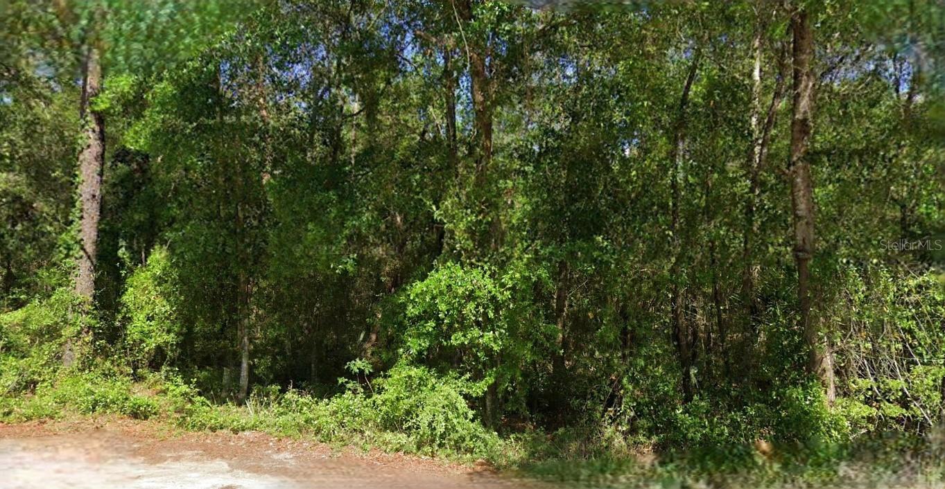 NE 6TH LANE RD, SILVER SPRINGS, FL, 34488