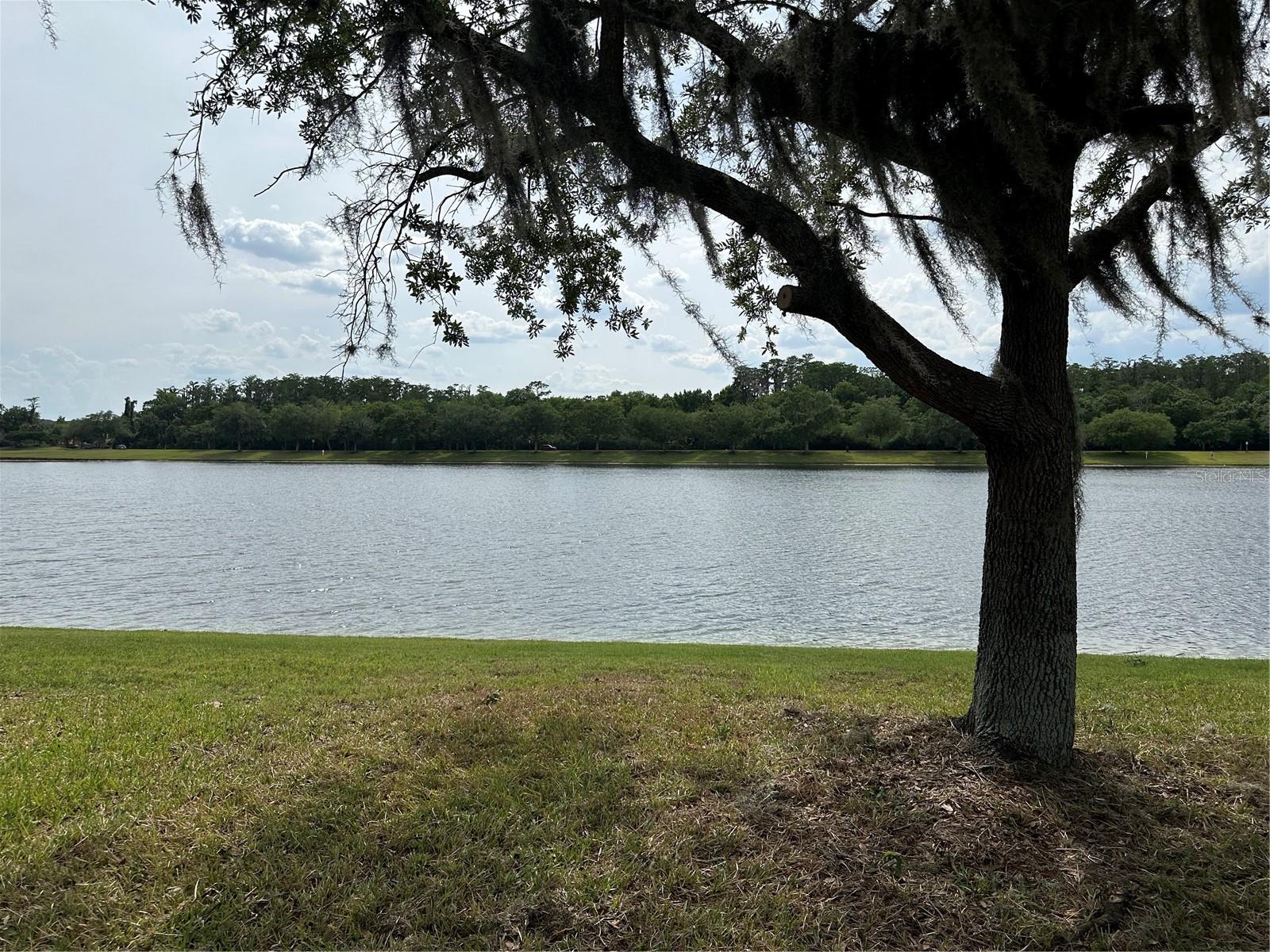 5996 MILFORD HAVEN PL, ORLANDO, FL, 32829