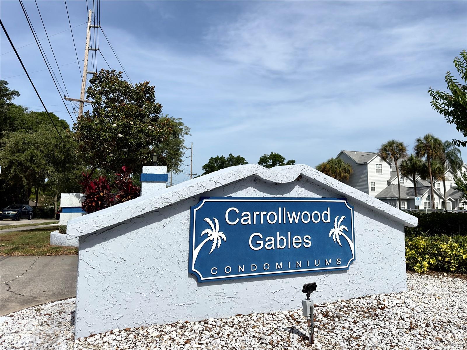 12287 ARMENIA GABLES CIR, TAMPA, FL, 33612