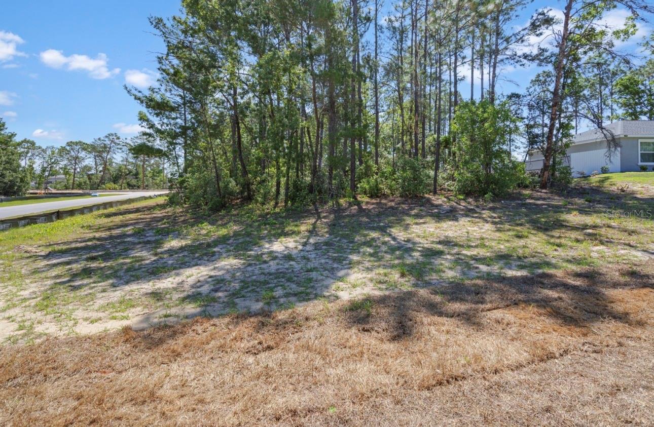 TBD SW 50TH AVE, OCALA, FL, 34473