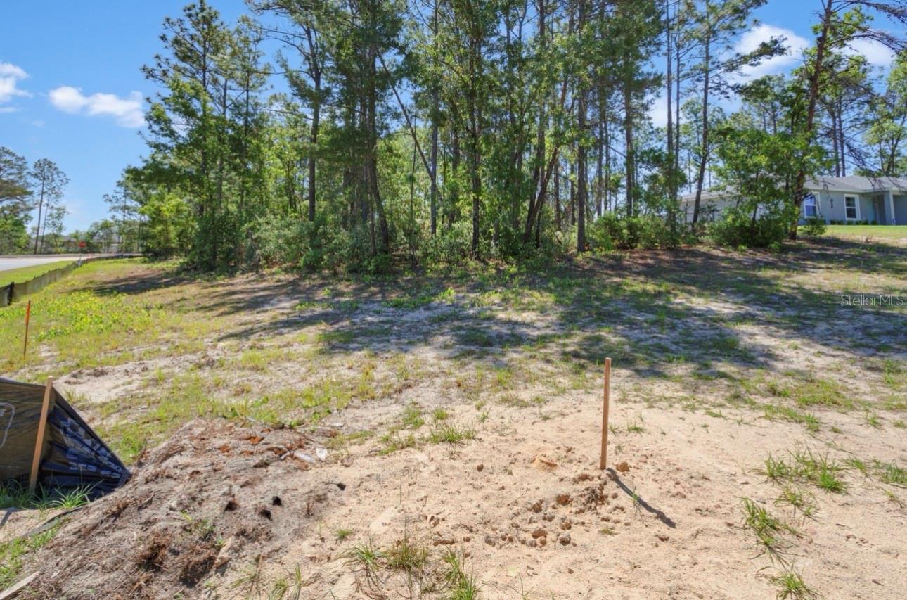 TBD SW 50TH AVE, OCALA, FL, 34473