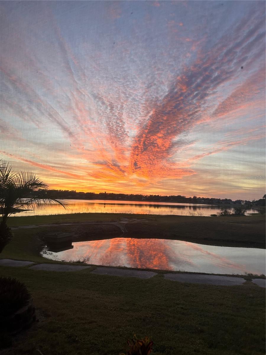 16741 TALL GRASS LN, CLERMONT, FL, 34711